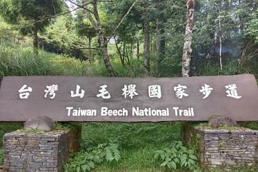 風形輕旅包車-台灣山毛櫸步道
